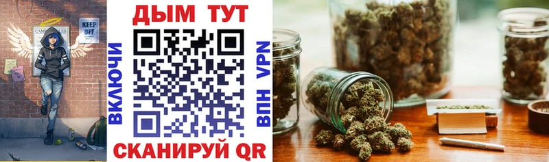 Бошки Шишки Amnesia  Куртамыш 
