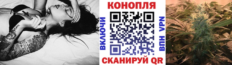 Конопля конопля Куртамыш
